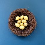 When To Remove Unhatched Budgie Eggs?